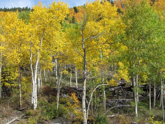 2012-09-23 trip to Kebler Pass 006