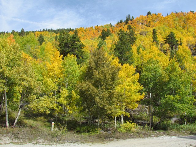 2012-09-23 trip to Kebler Pass 010
