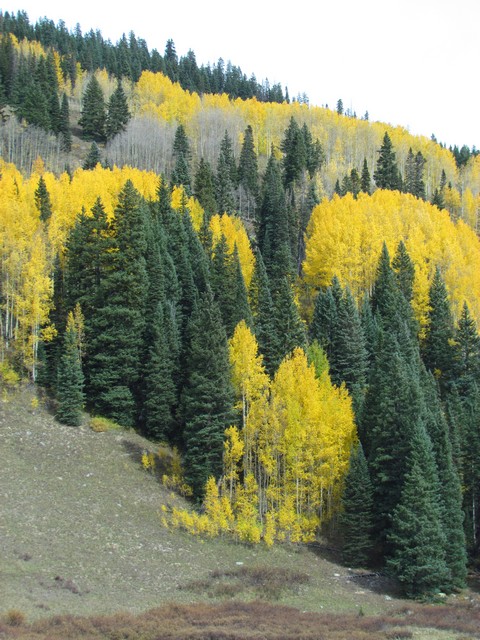 2012-09-23 trip to Kebler Pass 018