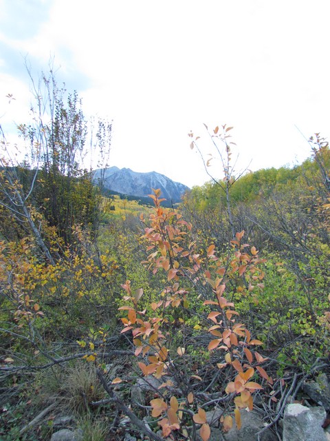 2012-09-23 trip to Kebler Pass 039