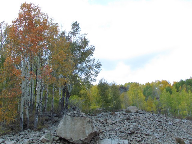 2012-09-23 trip to Kebler Pass 041