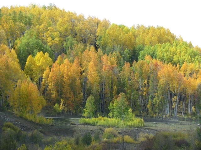 2012-09-23 trip to Kebler Pass 077