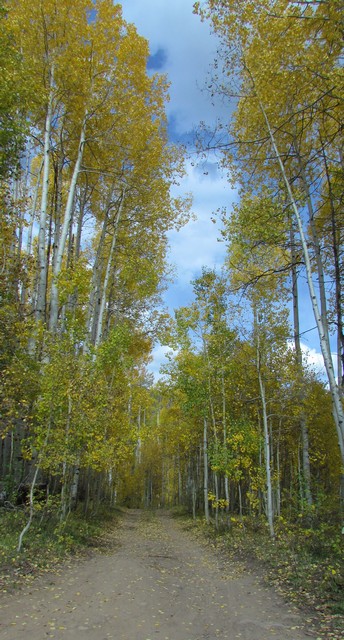 2012-09-23 trip to Kebler Pass 092 - Copy
