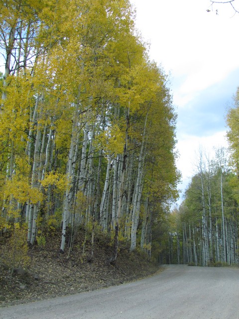 2012-09-23 trip to Kebler Pass 098