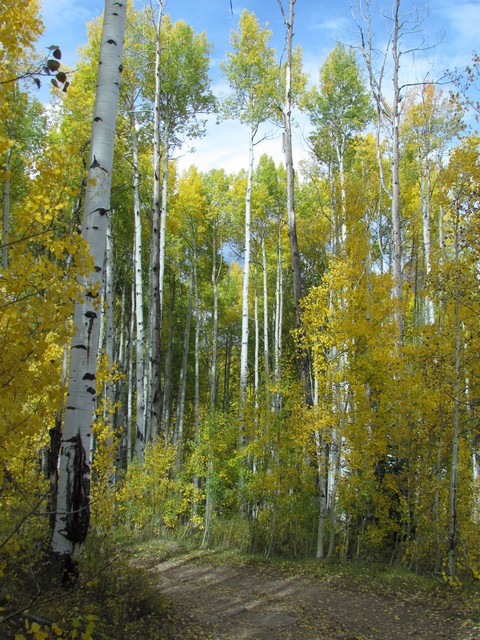 2012-09-23 trip to Kebler Pass 099