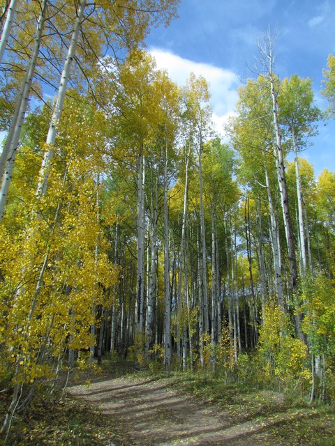 2012-09-23 trip to Kebler Pass 100