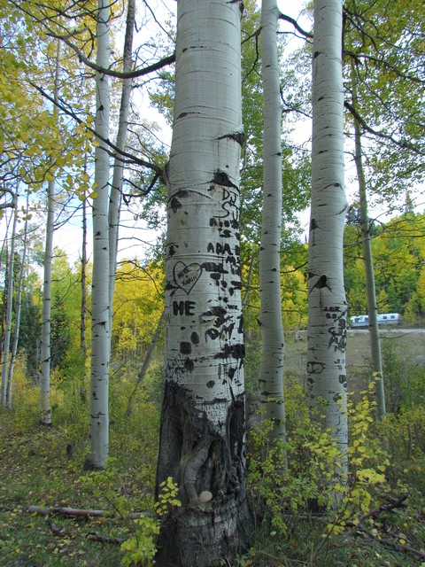 2012-09-23 trip to Kebler Pass 115
