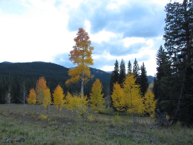 2012-09-23 trip to Kebler Pass 118