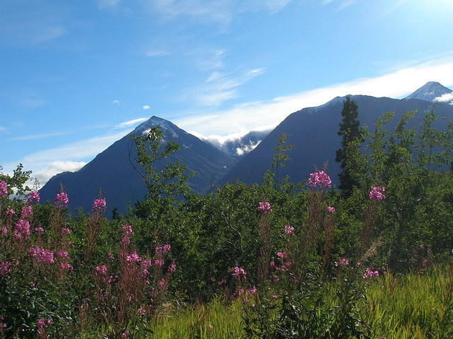2006-08-13 on the Alaskan Highway - ALCAN 019