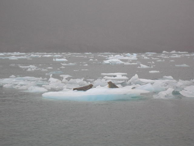 2006-08-16 aboard the Lu-Lu Belle Valdez, AK 185