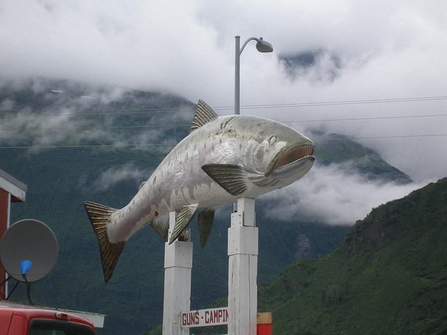 2006-08-18 Valdez, AK 07