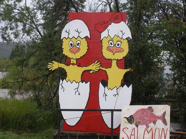 2006-08-21 Along the Top of the World Highway, AK 07