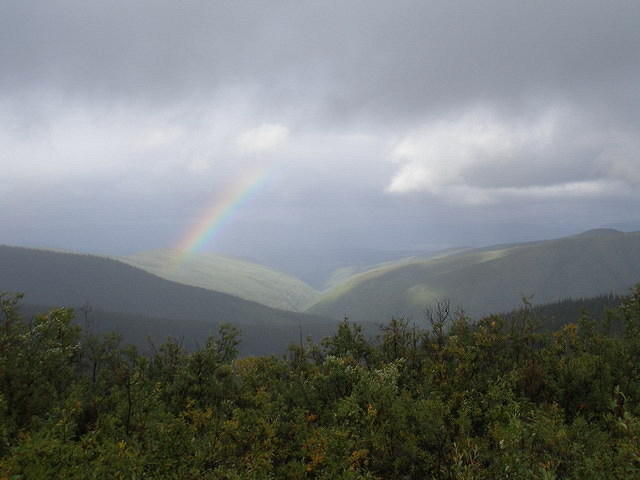 2006-08-21 Along the Top of the World Highway, AK 14