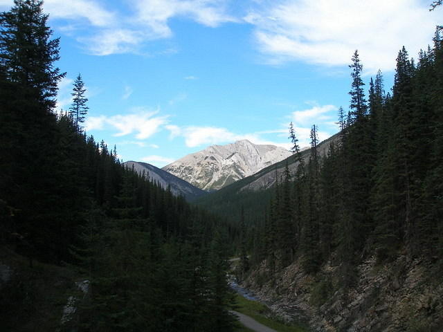 2006-08-28 Jasper National Park, Alberta, Canada 027