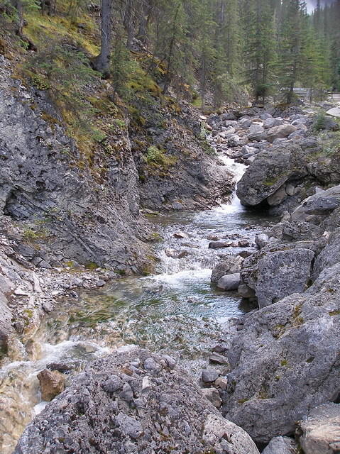 2006-08-28 Jasper National Park, Alberta, Canada 029