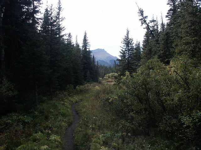 2006-08-28 Jasper National Park, Alberta, Canada 046