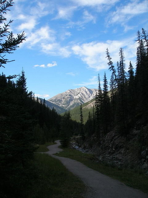 2006-08-28 Jasper National Park, Alberta, Canada 050