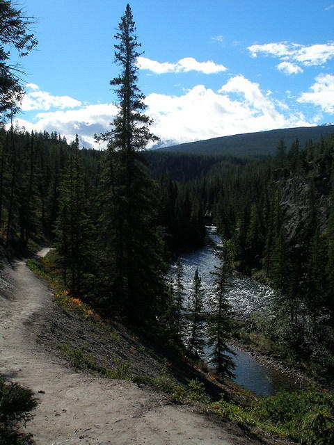 2006-08-28 Jasper National Park, Alberta, Canada 067