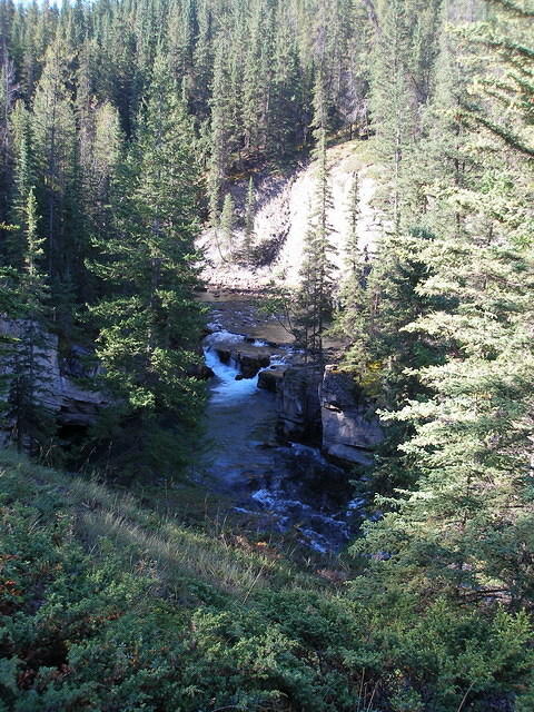 2006-08-28 Jasper National Park, Alberta, Canada 069