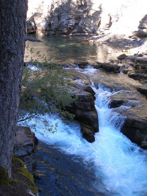 2006-08-28 Jasper National Park, Alberta, Canada 071