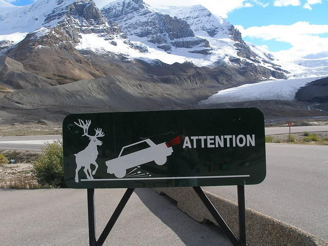 2006-08-28 Jasper National Park, Alberta, Canada 116