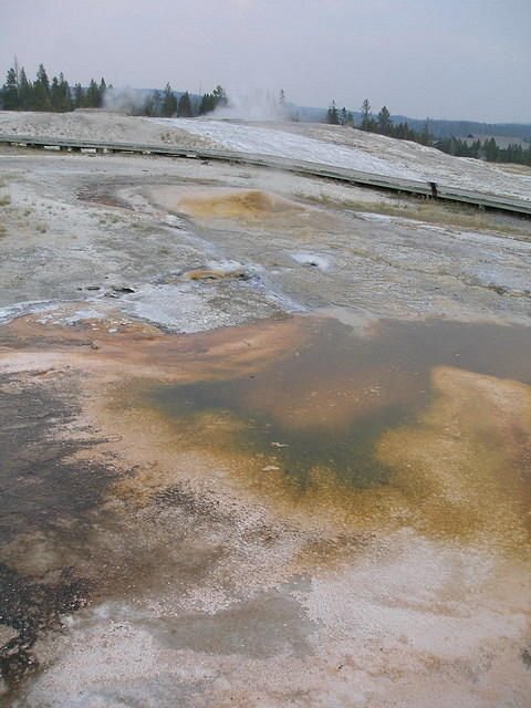 2006-09-04 Yellowstone National Park, Wyoming 055