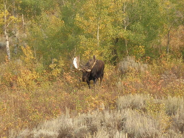2006-09-05 Grand Teton National Park, Wyoming 25