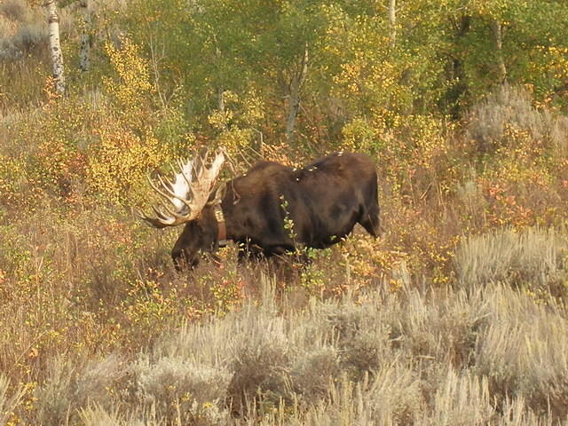 2006-09-05 Grand Teton National Park, Wyoming 55