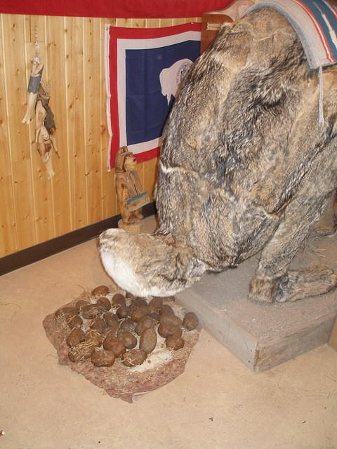 2006-09-06 On the road to Colorado 07