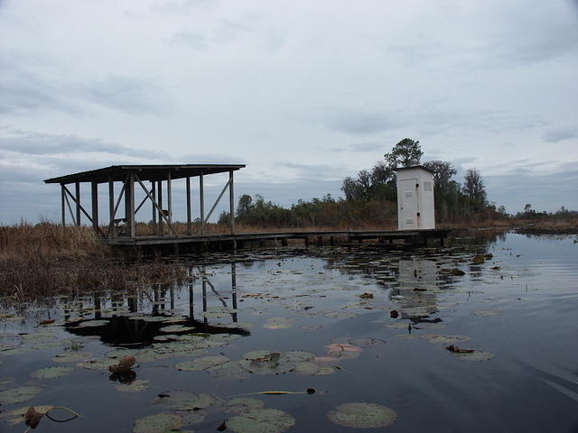 17 -New Years trip-Okefenokee