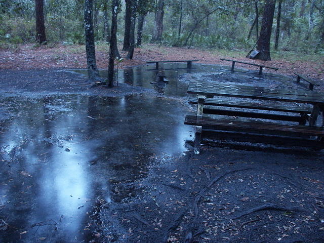 28 -New Years trip-Okefenokee