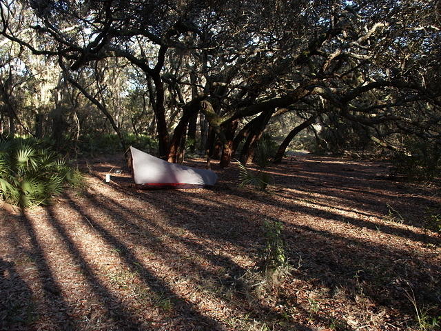 01 -New Years trip-Cumberland Island