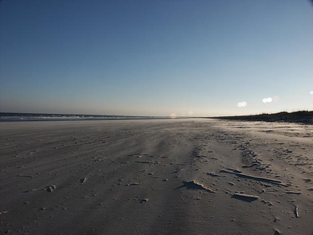 03 -New Years trip-Cumberland Island
