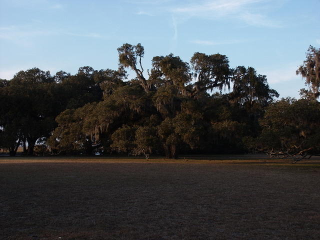 09 -New Years trip-Cumberland Island