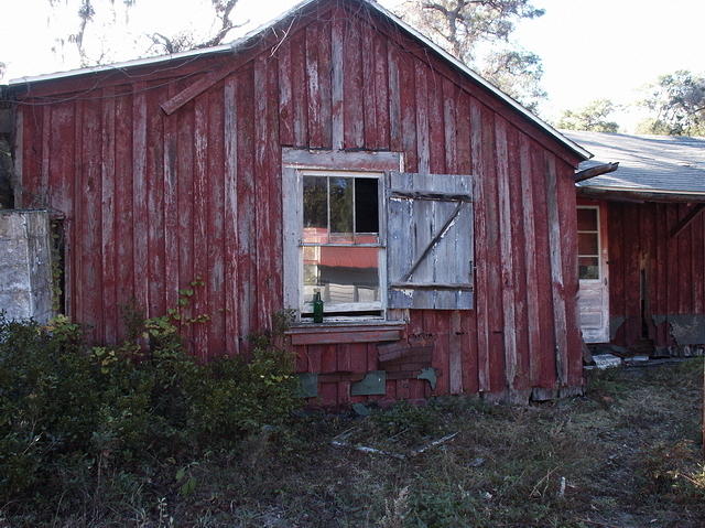 26 -New Years trip-Cumberland Island
