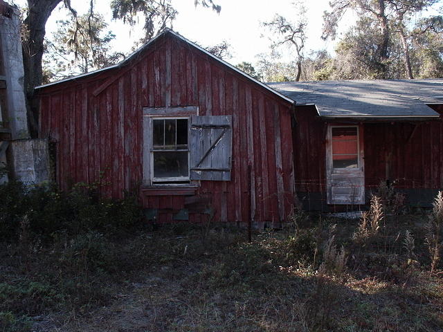 30 -New Years trip-Cumberland Island