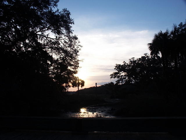 33 -New Years trip-Cumberland Island