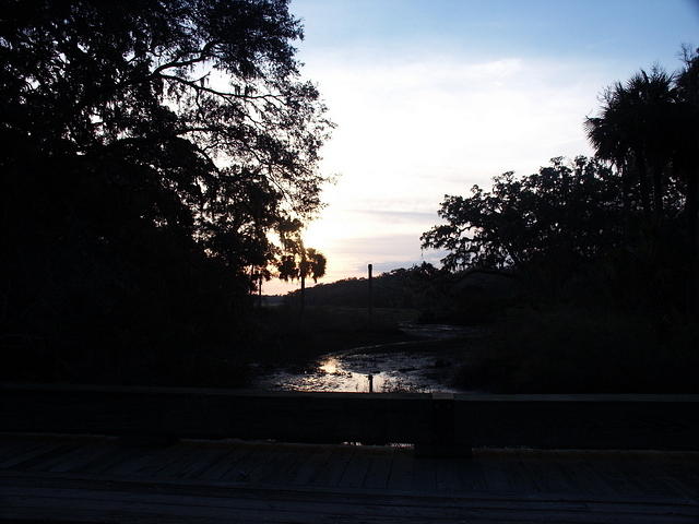34 -New Years trip-Cumberland Island