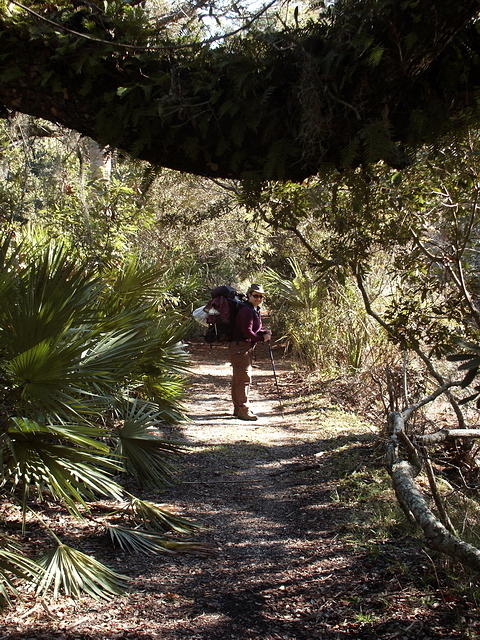 36 -New Years trip-Cumberland Island
