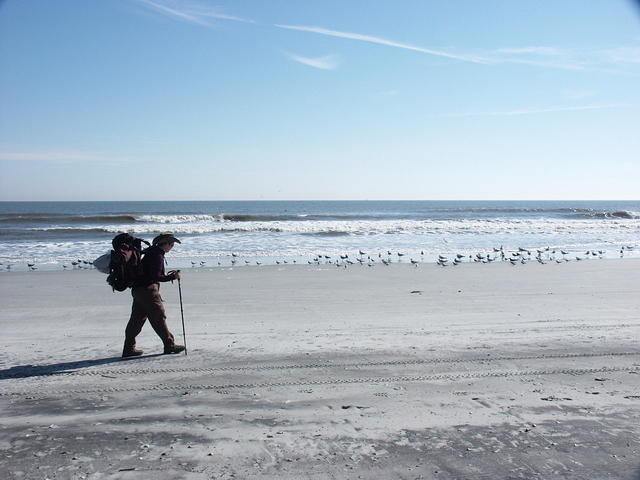 37 -New Years trip-Cumberland Island