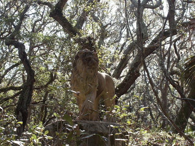 42 -New Years trip-Cumberland Island