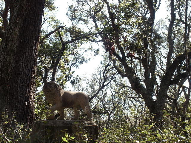 43 -New Years trip-Cumberland Island