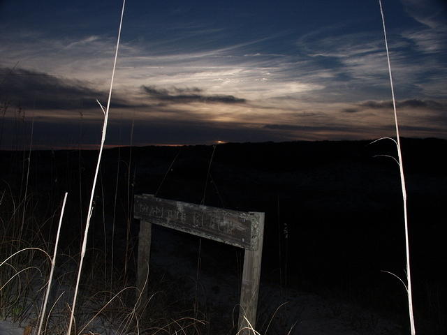 46 -New Years trip-Cumberland Island
