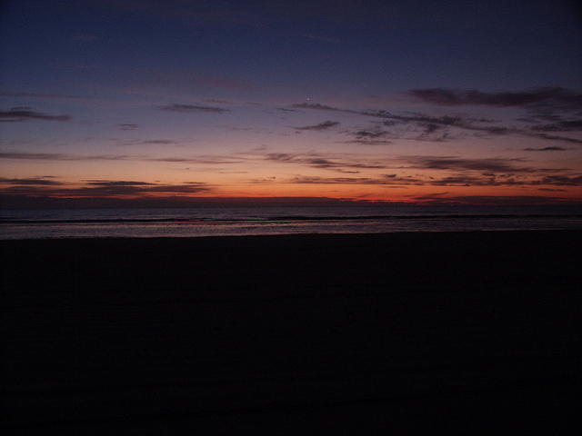 50 -New Years trip-Cumberland Island