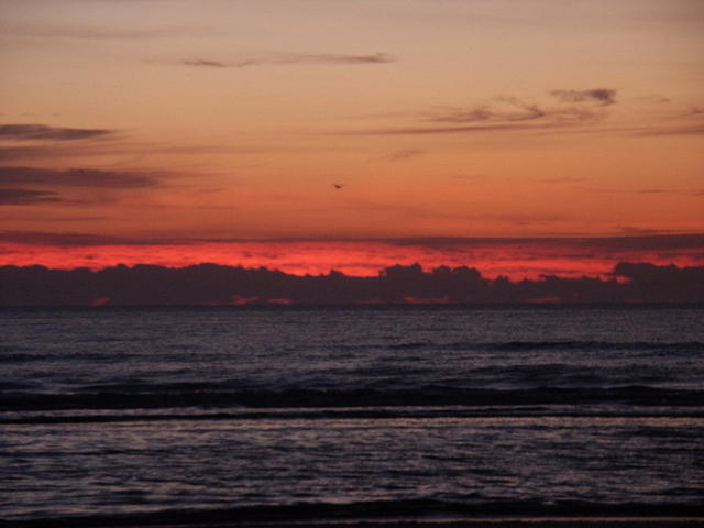 51 -New Years trip-Cumberland Island