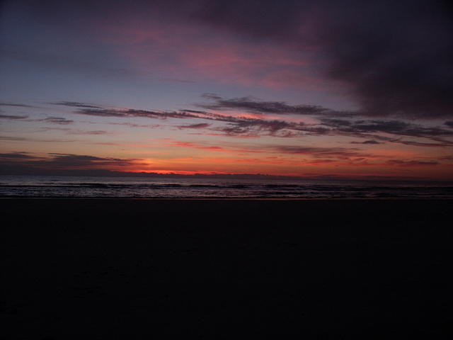 54 -New Years trip-Cumberland Island