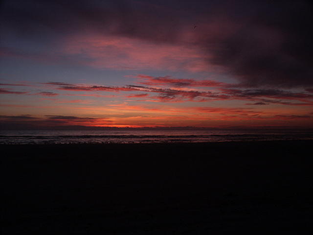 55 -New Years trip-Cumberland Island