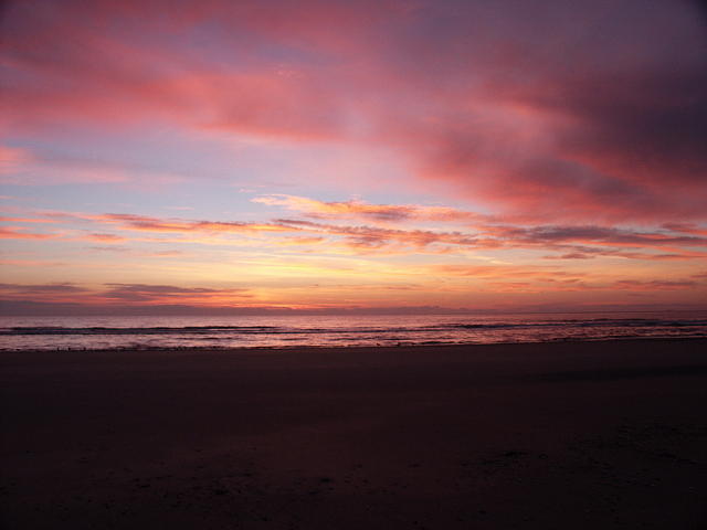 57 -New Years trip-Cumberland Island
