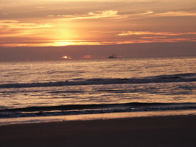 60 -New Years trip-Cumberland Island