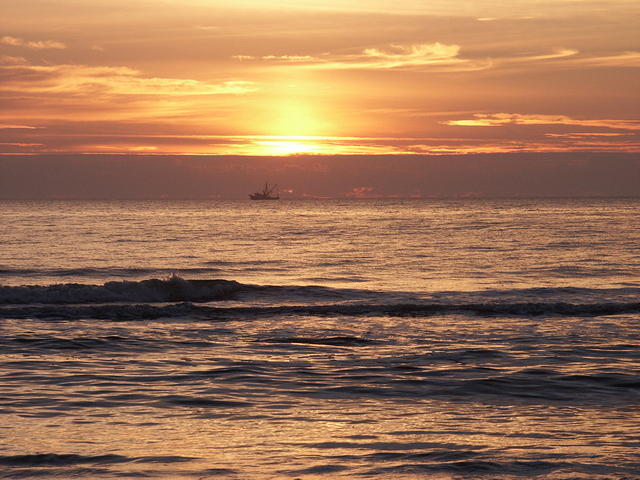 61 -New Years trip-Cumberland Island